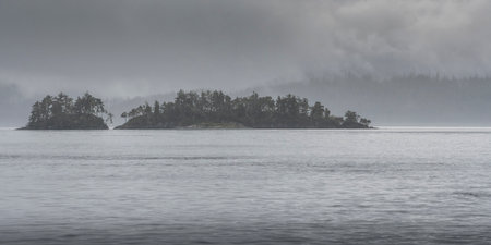 Shoreline of islands along Johnstone Strait, Vancouver Island, British Columbia, Canada
