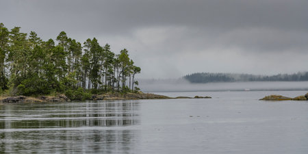 Shoreline along Johnstone Strait, Vancouver Island, British Columbia, Canadaのeditorial素材
