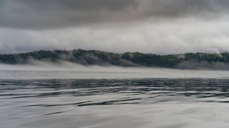 Shoreline along Johnstone Strait, Vancouver Island, British Columbia, Canadaのeditorial素材