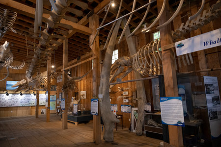 Whale Interpretive Centre in the historical boardwalk village of Telegraph Cove, Johnstone Strait, Vancouver Island, British Columbia, Canadaのeditorial素材