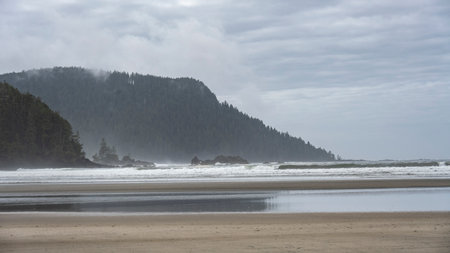 Shoreline in Cape Scott Provincial Park, San Josef Bay, Vancouver Island, British Columbia, Canadaのeditorial素材