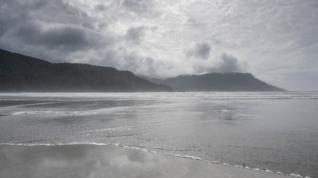 Shoreline in Cape Scott Provincial Park, San Josef Bay, Vancouver Island, British Columbia, Canadaのeditorial素材