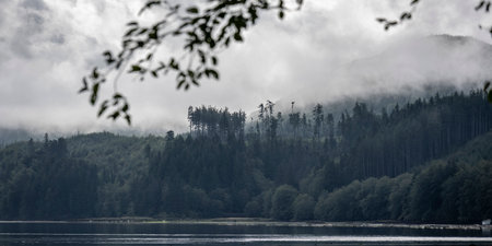 Shoreline Landscape along Holberg Inlet, Vancouver Island, British Columbia, Canadaのeditorial素材