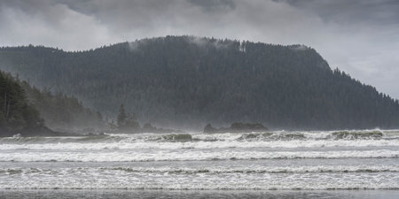 Shoreline in Cape Scott Provincial Park, San Josef Bay, Vancouver Island, British Columbia, Canadaのeditorial素材