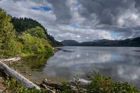 Landscape at Holberg Inlet, Quatsino Sound, Vancouver Island, British Columbia, Canadaのeditorial素材