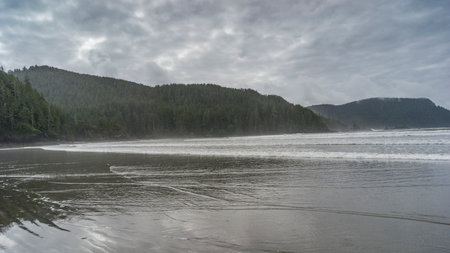 Shoreline in Cape Scott Provincial Park, San Josef Bay, Vancouver Island, British Columbia, Canadaのeditorial素材