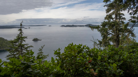 Ocean View along Blink Horn Trail, Telegraph Cove, Johnstone Strait, Vancouver Island, British Columbia, Canadaのeditorial素材