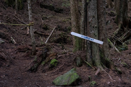View Point direction sign along Blink Horn Trail, Telegraph Cove, Vancouver Island, British Columbia, Canadaのeditorial素材