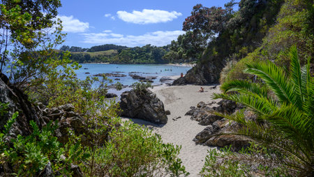 Tourists on the beach, Palm Beach, Waiheke Island, Auckland, Auckland Region, North Island, New Zealandのeditorial素材