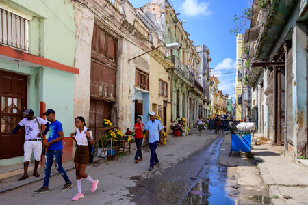 Houses in a town, Havana, Cuba