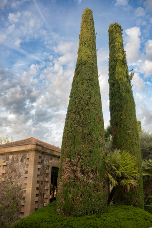 Landscape at Tenuta Sella e Mosca, Alghero, Sardinia, Italyのeditorial素材