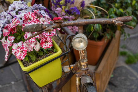 Container of flowers on a bicycle in the town of Bosa whch is situated about two-thirds of the way up the west coast of Sardinia, Italyのeditorial素材