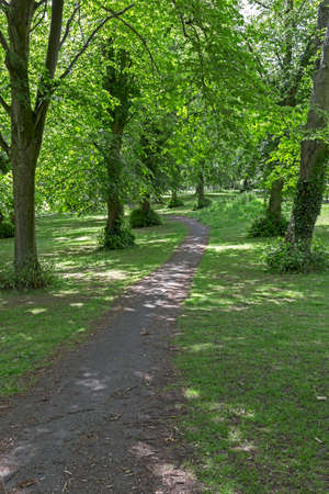 Weston-super-Mare, UK - June 1, 2019: An avenue of lime trees in Ashcombe Parkのeditorial素材