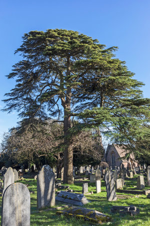 Weston-super-Mare, UK - February 25, 2021: Milton Road Cemeteryのeditorial素材