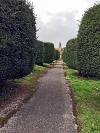 Weston-super-Mare, UK - October 9, 2021: An avenue of yew trees in Milton Road Cemeteryのeditorial素材