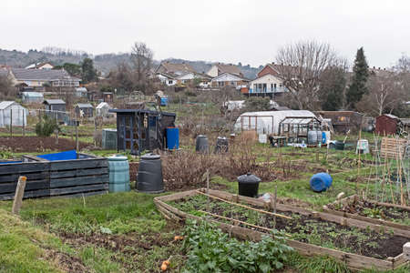 Weston-super-Mare, UK - January 25, 2022: Redpits allotments on a dull, grey winter afternoonのeditorial素材
