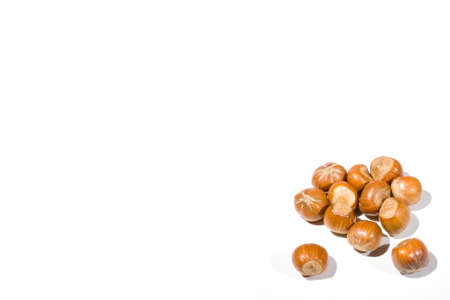 high key closeup of a small collection of hazelnuts on a white background