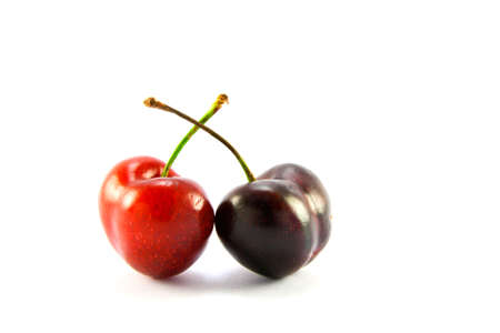 Two cherries one red one blackの写真素材