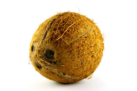 Single whole brown coconut on a white background 