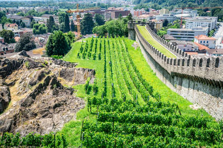 Vineyards and old fortification wall of Castelgrande castle in Bellinzona Ticino Switzerlandのeditorial素材