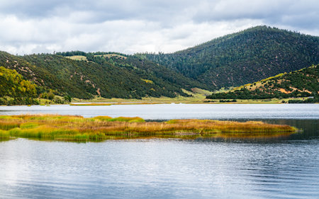 Shudu lake a 3705m high plateau lake view with forest and mountains in distance in Potatso national park in Shangri-La Yunnan Chinaの写真素材