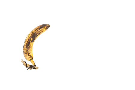 Rotten old banana Isolated on white background.の写真素材