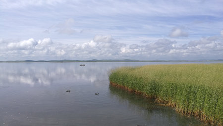 Landscape of lake with grass and blue sky with white clouds.の写真素材