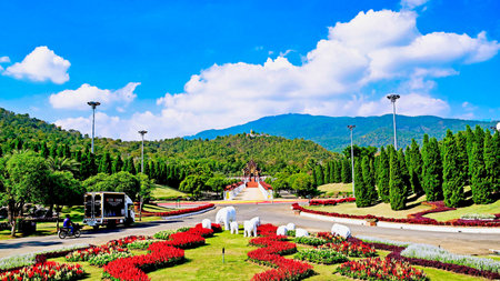 Beautiful flower garden in Chiang Rai province, North Thailand.の写真素材