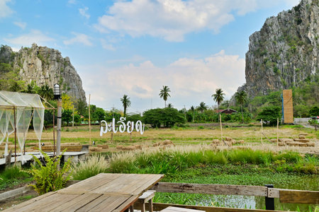 Landscape view of rice field and mountain in Krabi, Thailandの写真素材