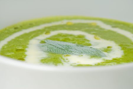 fresh spinach soup on a white bowl with sage and cream on topの写真素材