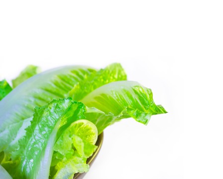 fresh lettuce leaves on a brow3n bowl extreme cose up over whiteの写真素材