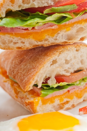 fresh ciabatta panini sandwich with eggs tomato lettuceの写真素材