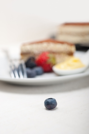 classic Italian tiramisu dessert with berries and custartd pastry cream on side の写真素材
