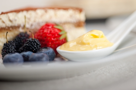 classic Italian tiramisu dessert with berries and custartd pastry cream on side の写真素材