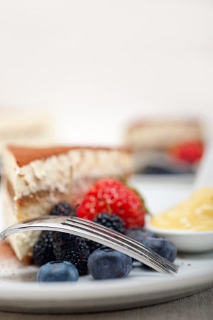 classic Italian tiramisu dessert with berries and custartd pastry cream on side の写真素材