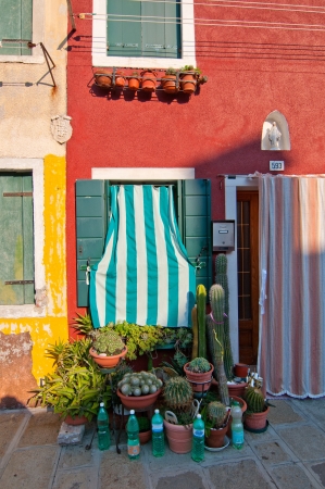 Italy Venice Burano island with traditional colorful houses のeditorial素材