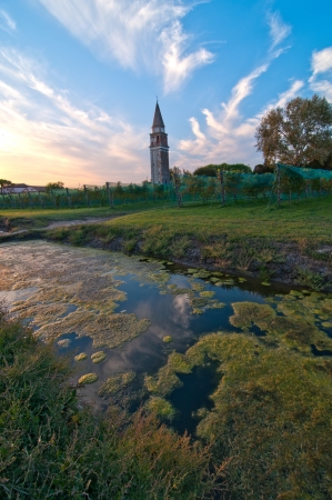 Venice Burano Mazorbo vineyard with campanile bell tower of Saint Caterina on backgroundの写真素材