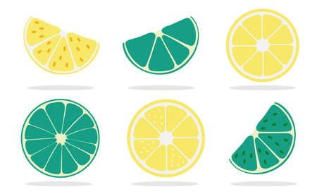 Set of slice and whole lime or lemon. Flat vector illustration isolated. vector clip artのイラスト素材