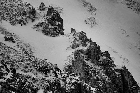 Chamois in its natural habitat
