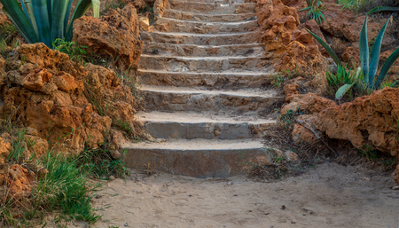 Natural stone stairway with green bushes on both sides at Montaza Public Park in summer time, Alexandria, Egyptの写真素材