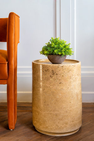 Still life of a potted plant sits on a marble biege round table next to a chair in a living room. The table is made of marble, and it has a round top and a pedestal baseの写真素材