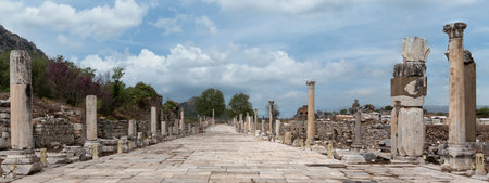 Panoramic view of the ancient Arcadian Street, lined with ruined columns and structures, at the archaeological site of Ephesus, Turkey, under a cloudy skyの写真素材