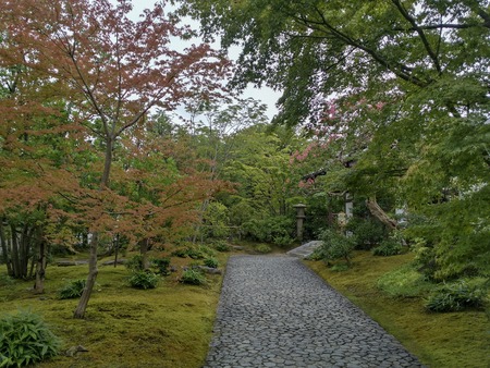 JAPAN, KYOTO, Beautiful Japanese gardenのeditorial素材