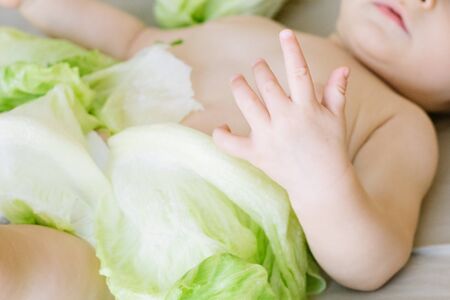 Baby in the cabbage. Hand close-up. Newborn conceptの写真素材