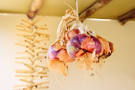 A small onion knot dries suspended from the ceilingの写真素材