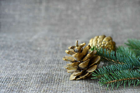 Green spruce branch and golden cone on a gray mat. Rough burlap with copy space. Christmas and new year conceptの写真素材