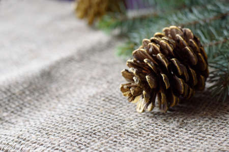 Green spruce branch and golden cone on a gray mat. Rough burlap with copy space. Christmas and new year conceptの写真素材