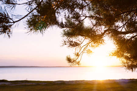 Beautiful landscape morning sunrise over a lake and silhouette of the pine in national park. Europeの写真素材