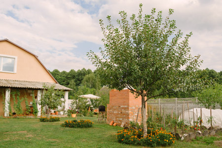 Contemporary two-story house in countryside in summer with fruit trees, flowers, vegetable garden...