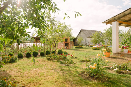 View of summer cottage. House in countryside in summer with fruit trees, flowers, vegetable garden...